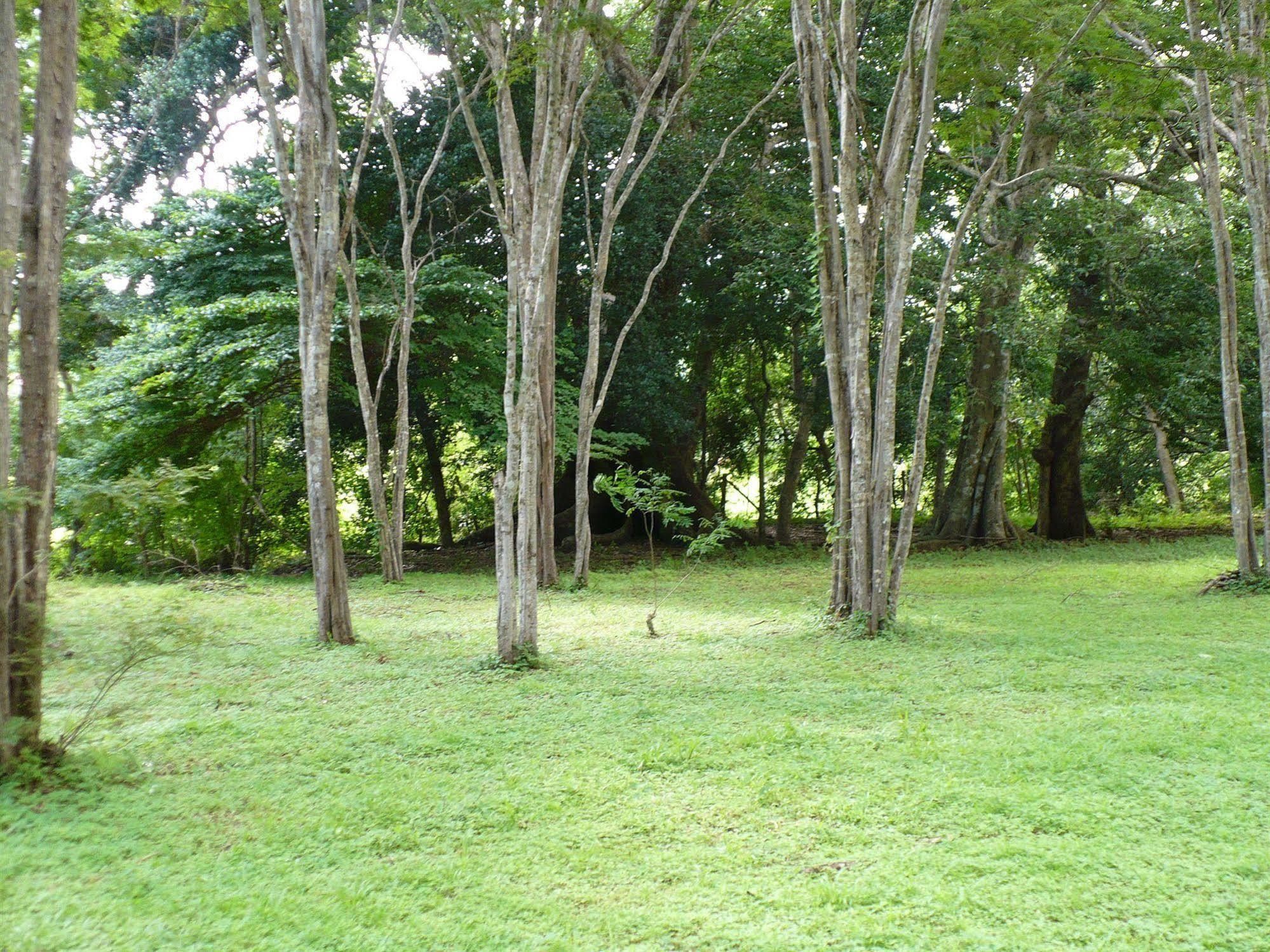 Finca Buena Fuente Residence Hotel Nicoya Eksteriør billede
